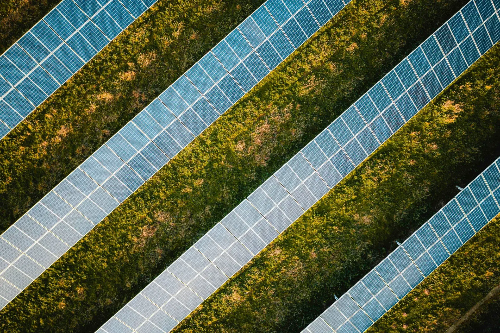 Overhead aerial view of solar panel array rows in a grass field.